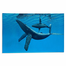 Humpback Whale Bonding Rugs 58461760
