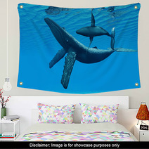 Humpback Whale Bonding Wall Art 58461760
