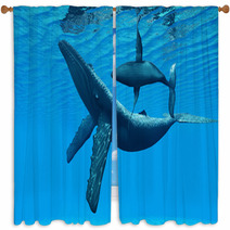 Humpback Whale Bonding Window Curtains 58461760