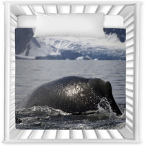 Humpback Whale Diving Back Into The Water In The Spray From The Nursery Decor 66241900