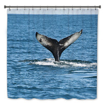 Humpback Whale Fin Bath Decor 43731045