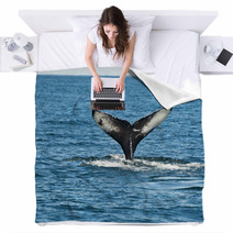 Humpback Whale Fin Blankets 43731045