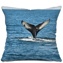 Humpback Whale Fin Pillows 43731045