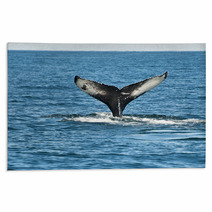 Humpback Whale Fin Rugs 43731045