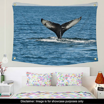 Humpback Whale Fin Wall Art 43731045