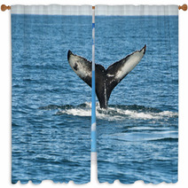 Humpback Whale Fin Window Curtains 43731045