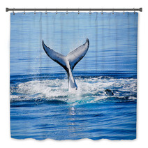 Humpback Whale In Australia Bath Decor 43167878