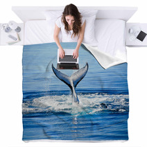 Humpback Whale In Australia Blankets 43167878