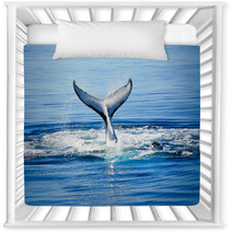 Humpback Whale In Australia Nursery Decor 43167878