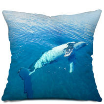 Humpback Whale In Australia Pillows 28652029