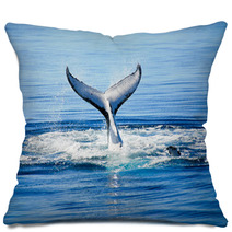 Humpback Whale In Australia Pillows 43167878