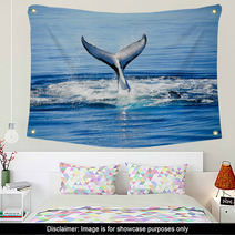 Humpback Whale In Australia Wall Art 43167878