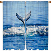 Humpback Whale In Australia Window Curtains 43167878