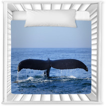 Humpback Whale Nursery Decor 36365215