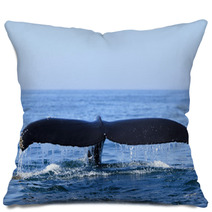 Humpback Whale Pillows 36365215