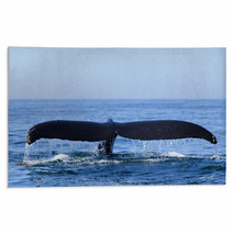 Humpback Whale Rugs 36365215