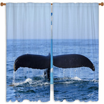 Humpback Whale Window Curtains 36365215