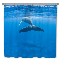 Humpback Whales Bath Decor 62536860