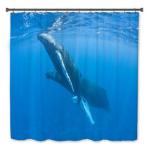 Humpback Whales Bath Decor 62537034