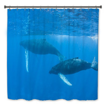 Humpback Whales Bath Decor 62537052