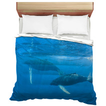 Humpback Whales Bedding 62537052