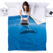 Humpback Whales Blankets 62536860