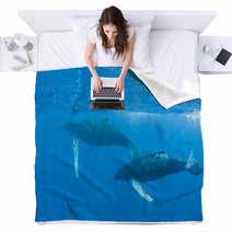 Humpback Whales Blankets 62537052