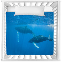 Humpback Whales Nursery Decor 62537052
