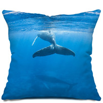 Humpback Whales Pillows 62536860