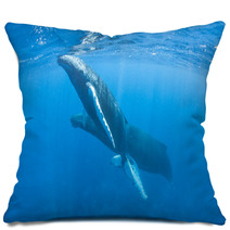 Humpback Whales Pillows 62537034