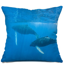 Humpback Whales Pillows 62537052