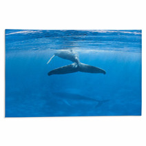 Humpback Whales Rugs 62536860