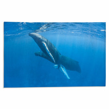 Humpback Whales Rugs 62537034