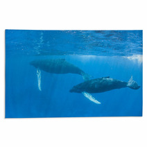 Humpback Whales Rugs 62537052
