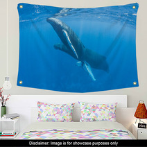 Humpback Whales Wall Art 62537034