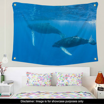 Humpback Whales Wall Art 62537052