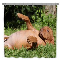 Hungarian Short-haired Pointing Dog Puppy Lying Bath Decor 55325413