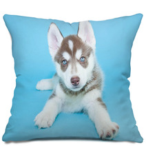 Husky Puppy Pillows 65861253