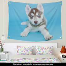 Husky Puppy Wall Art 65861253