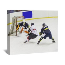 Ice Hockey Player During A Game Wall Art 139592023