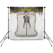 Ice Rink Backdrops 60994250