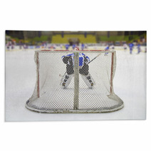 Ice Rink Rugs 60994250