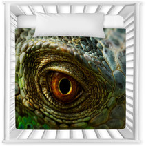 Iguana Eye Nursery Decor 55175061