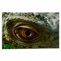 Iguana Eye Rugs 55175061