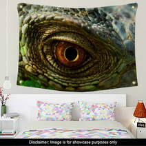 Iguana Eye Wall Art 55175061