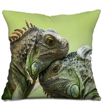 Iguana Pillows 66982811