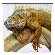 Iguana Reptile Animal Bath Decor 55649506