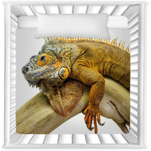 Iguana Reptile Animal Nursery Decor 55649506