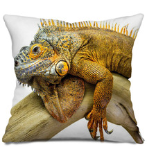 Iguana Reptile Animal Pillows 55649506