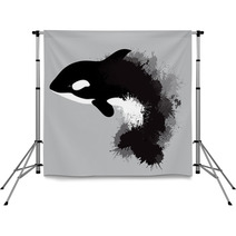 Illustration Of Grampus With Watercolor Splashes Vector Killer Whale For Your Design Backdrops 192992103